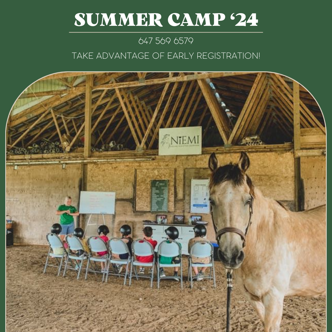 Summer Camp 24