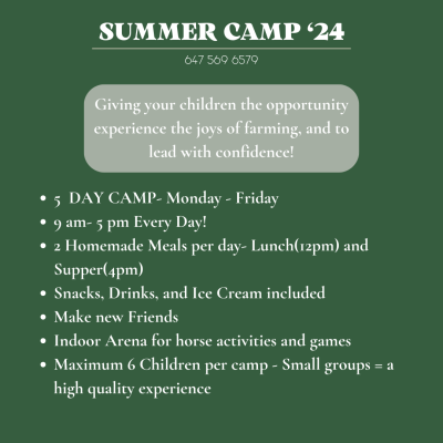 Farm Camps | Niemi Family Farm